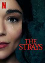 Watch The Strays Gomovies