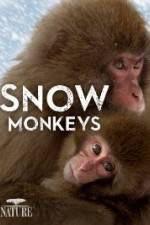 Watch Nature: Snow Monkeys Gomovies