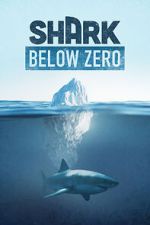 Watch Shark Below Zero Gomovies