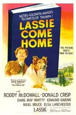 Watch Lassie Come Home Gomovies