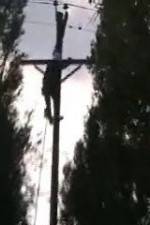 Watch After the Wind Gomovies