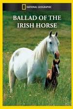 Watch Ballad of the Irish Horse Gomovies