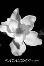 Watch Kataude Gomovies