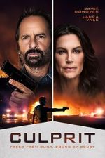 Watch Culprit Gomovies