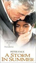 Watch A Storm in Summer Gomovies