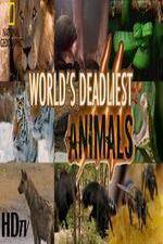 Watch National Geographic - Worlds Deadliest Animal Battles Gomovies