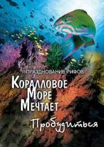 Watch Coral Sea Dreaming: Awaken Gomovies