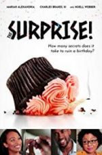 Watch The Surprise! Gomovies