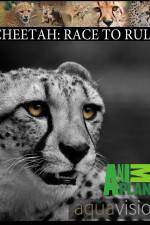 Watch Cheetah: Race to Rule Gomovies