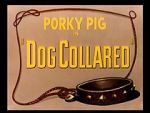 Watch Dog Collared (Short 1950) Gomovies