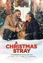 Watch A Christmas Stray Gomovies