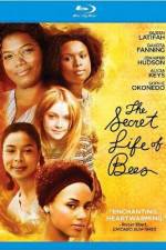 Watch The Secret Life of Bees Gomovies