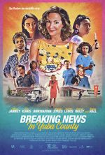 Watch Breaking News in Yuba County Gomovies