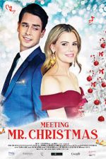 Watch Meeting Mr. Christmas Gomovies
