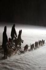 Watch Icebound: The Greatest Dog Story Ever Told Gomovies