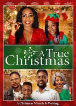 Watch A True Christmas Gomovies