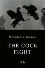 Watch The Cock Fight Gomovies