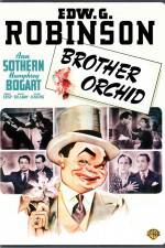 Watch Brother Orchid Gomovies