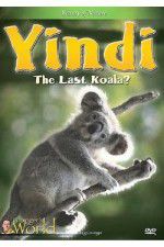Watch Yindi the Last Koala Gomovies