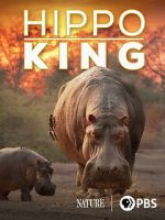 Watch Hippo King Gomovies