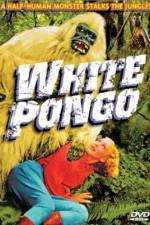 Watch White Pongo Gomovies