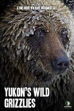 Watch Yukon\'s Wild Grizzlies Gomovies