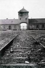Watch AUSCHWITZ: FRENZIED KILLING Gomovies