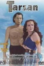 Watch Tarzan's Desert Mystery Gomovies