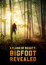 Watch A Flash of Beauty: Bigfoot Revealed Gomovies