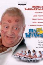 Watch My 5 Wives Gomovies