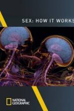 Watch Sex How It Works Gomovies