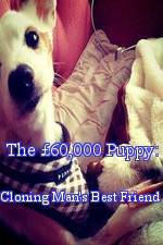 Watch The �60,000 Puppy: Cloning Man's Best Friend Gomovies