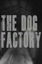 Watch The Dog Factory Gomovies