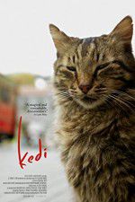 Watch Kedi Gomovies