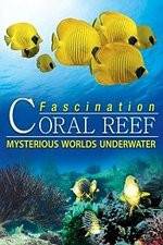 Watch Fascination Coral Reef: Mysterious Worlds Underwater Gomovies