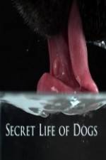 Watch Secret Life of Dog Gomovies