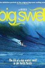 Watch The Big Swell Gomovies