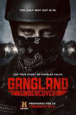 Watch Gangland Undercover Gomovies