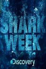 Watch Shark Week Gomovies