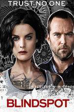 Watch Blindspot Gomovies