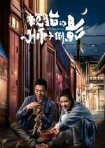 Watch The Lion's Secret Gomovies