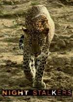 Watch Night Stalkers Gomovies