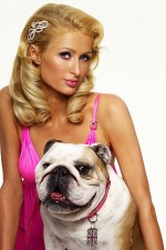 Watch Paris Hilton's British Best Friend Gomovies