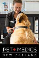 Watch Pet Medics Gomovies