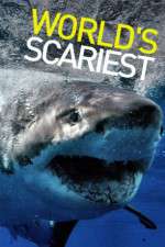 Watch World's Scariest... Gomovies
