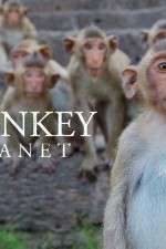 Watch Monkey Planet Gomovies