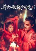 Watch Buried City to Shut All Lights Gomovies