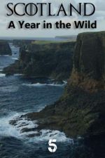 Watch Scotland: A Wild Year Gomovies