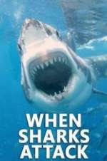 Watch When Sharks Attack Gomovies