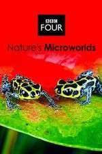 Watch Natures Microworlds Gomovies